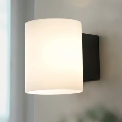 Evoke S vegglampe antrasitt/opal IP44