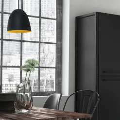 Fiola 300 takpendel 60W sort/gull