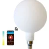 SMART LIGHT WIFI CCT globe opal Ø200mm