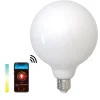 SMART LIGHT WIFI CCT globe opal Ø125mm