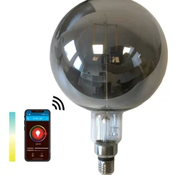 SMART LIGHT WIFI CCT globe sotet Ø200mm